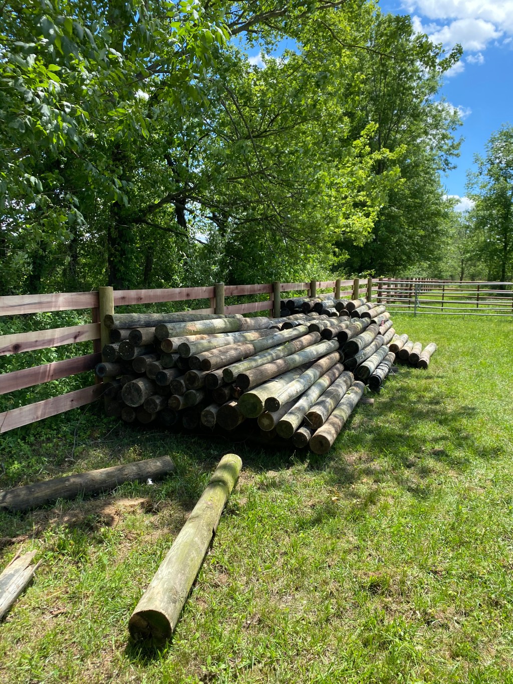 Christopher Alexander